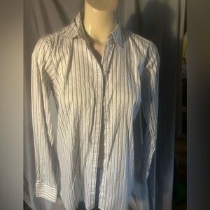 Ann Taylor Blue Striped Button Down Shirt